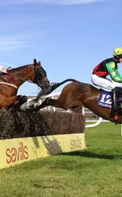 Tramore Races