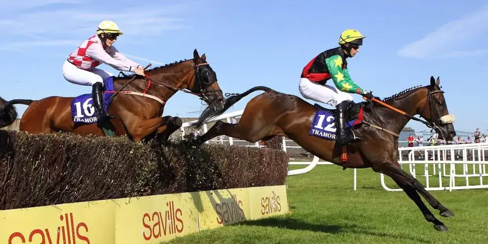 Tramore Races